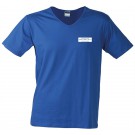 color:royal