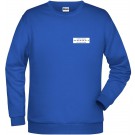 color:royal
